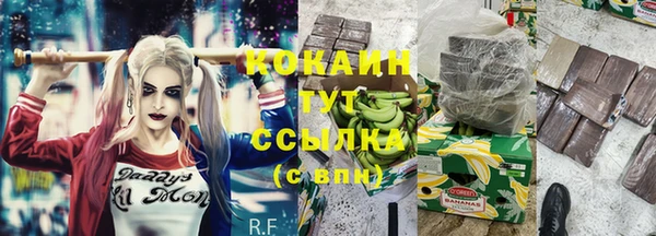 ешки Арсеньев