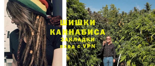 ешки Арсеньев